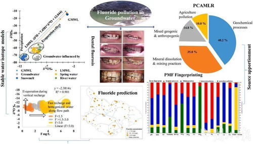 科技服务健康丝路，留学生论文点亮国际学术舞台